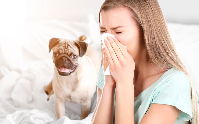 alergia a cachorro
