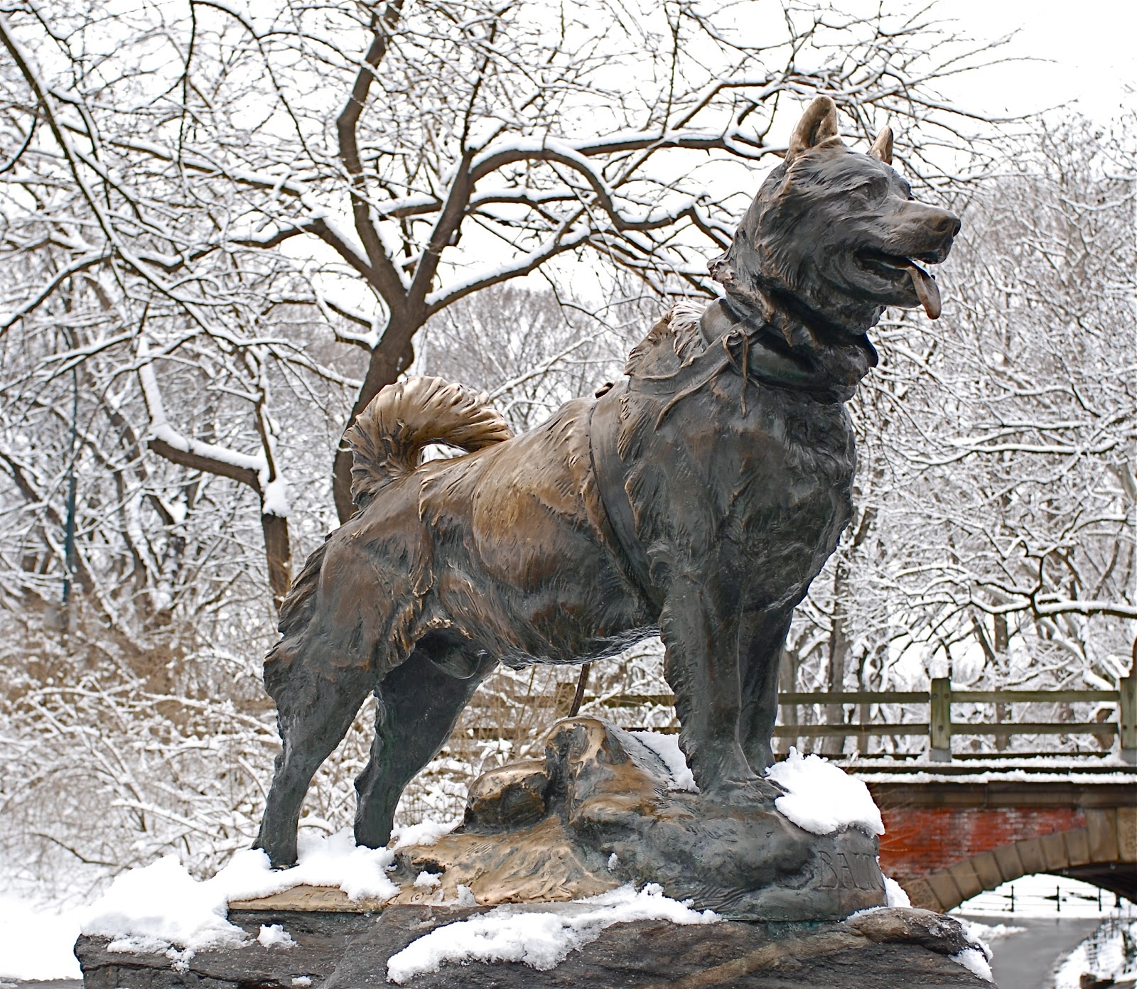 A linda estátua em homenagem ao Huskie Siberiano no Central Park, em Nova York