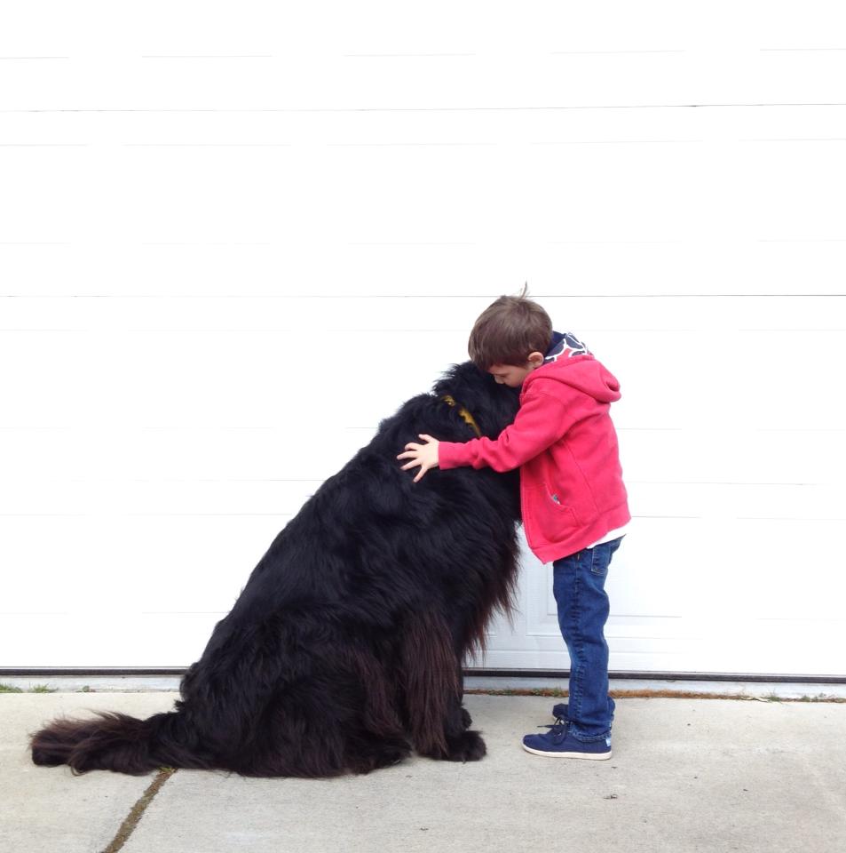 Esta foto dá a noção do tamanho do Cachorro Terra Nova